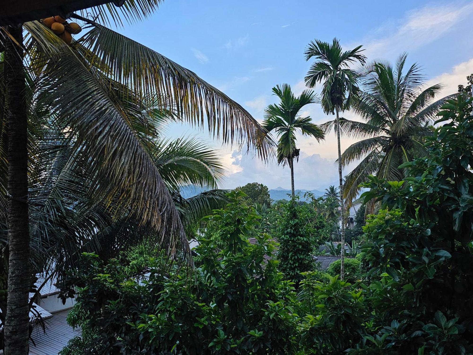 The Lodge แคนดี้ ภายนอก รูปภาพ